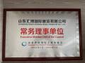 山东跨境电子商务常务理事单位